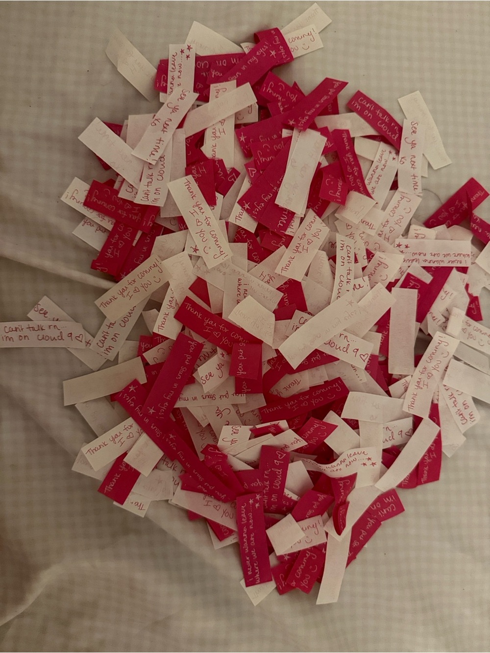 Assorted Megan Moroney Pink and White confetti from Cloud 9 Tour (50 Pcs)